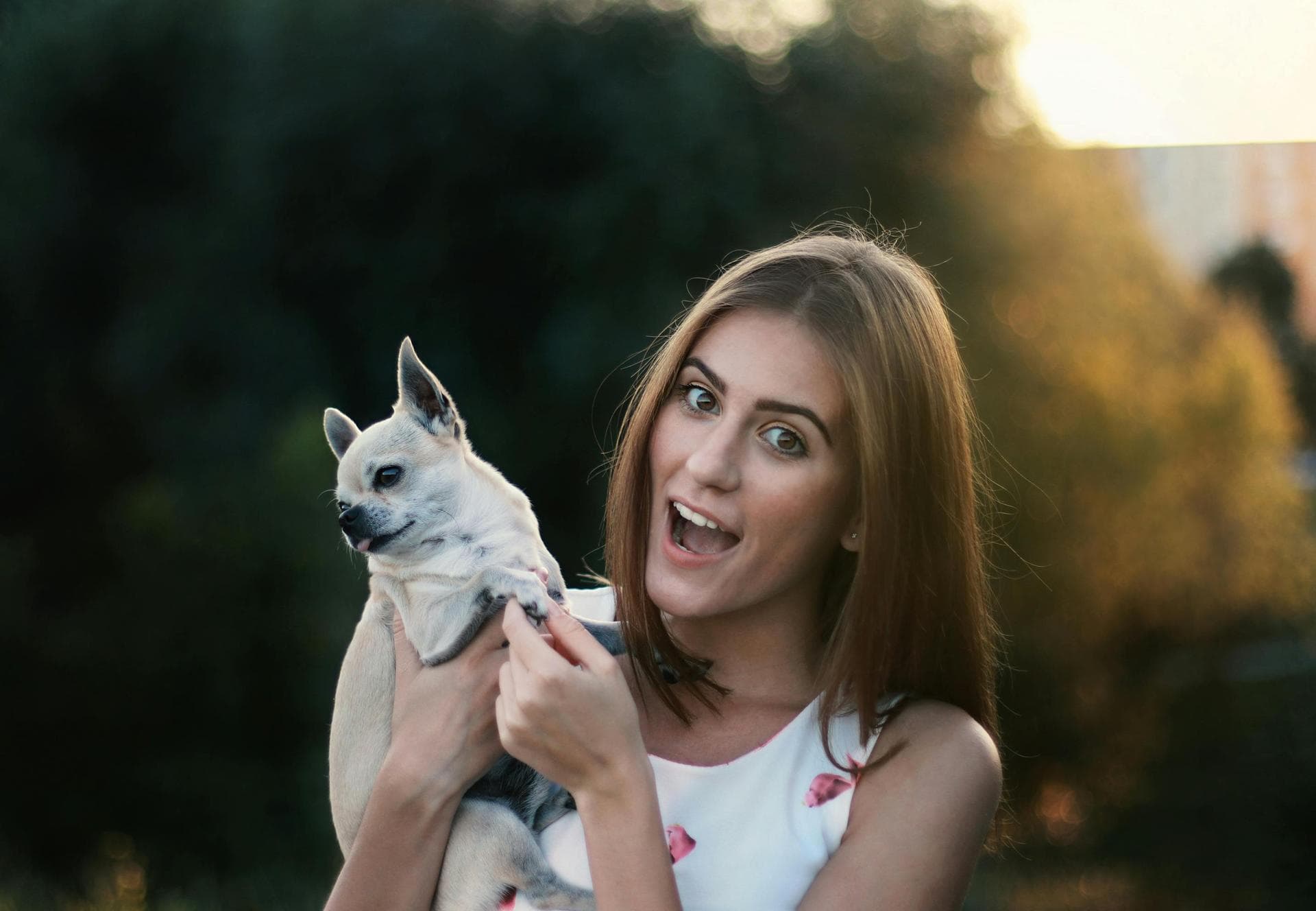 Dog & Cat Vets in Gresham